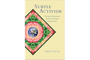 Subtle Activism: The Inner Dimension of Social and Planetary Transformation (Transpersonal Humanist Psychol)