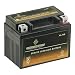 Replacement YTX4L-BS Battery - High Performance Power Sports, Rechargeable, Replacement for Scooters and Lawnmowers, Chrome Battery