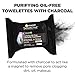 Garnier Skin Skinactive Clean+ Charcoal Oil-Free Makeup Remover Wipes, 2 Count