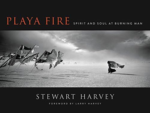 Burning Man: Art on Fire: Raiser, Jennifer, Erthal, Sidney, London