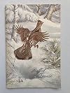 Ruffed Grouse