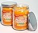 Specialty Pet Products Orange Lemon Splash 13 Oz. Pet Odor Exterminator Candle 2-Pack