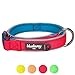 Blueberry Pet Collars 5/8