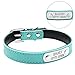 Didog Adjustable Leather Padded Custom Dog Collar with Engraved Nameplate,Fit Cats and Small Medium Dogs,Blue,S Size