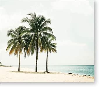 Playa Palmera Pared Lámina Playa costera Cartel Fotografía Naturaleza