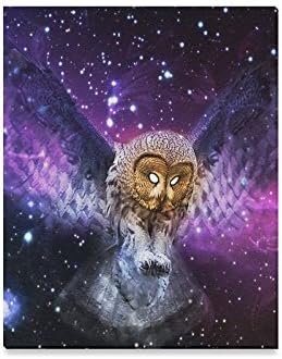 Amazon Com Galaxy Universe Space Owl Oil Painting Home Decorative Canvas Prints 16x20inch One Side Posters Prints