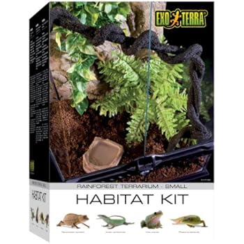 Exo Terra Rainforest Habitat Kit (includes PT2602) - Small
