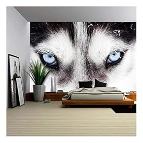 Close Up on Blue Eyes of a Husky Dog - Removable Wall Mural | Self-Adhesive Large Wallpaper - 66x96 inches