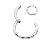 365 Sleepers 316L Surgical Steel