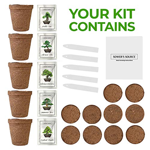 2 Complete+Starter+Beginner+Miniature+Biodegradable