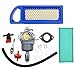 Carbhub 594593 Carburetor for Briggs & Stratton 594593 591731 796109 796078 590400 31H777 Carb 14.5-21HP with 797008 677014 697634 697153 Air filter 491055S 72347GS Spark plug - 594593 Carburetor