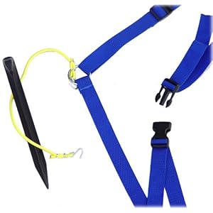 Park & Sun Sports Outdoor Volleyball Boundary Webbing with Ground Stakes