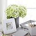 Butterfly Craze Green Artificial Hydrangeas - Faux Silk Flowers for Wedding Bouquets, Fake Flower Arrangements, Home and Office Decorations - 3 Stems per Bundle