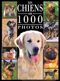 Les  chiens en 1000 photos