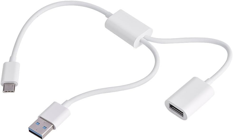 Type C SSB Cable 2 In 1 USB3.1 TypeC Male to USBA Amazon.co.uk