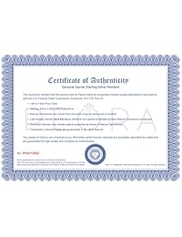 Garnet colgante plata de ley y rodio Acabado en níquel Bisel Set 2.50 quilates