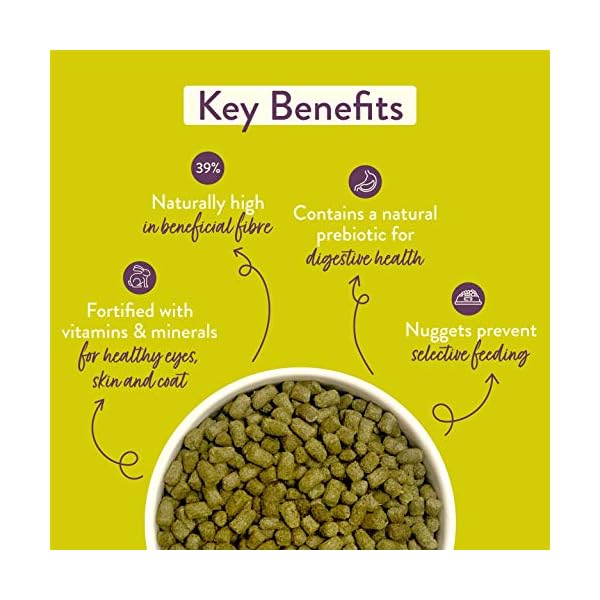 Burgess Excel Nuggets with Mint Adult Rabbit Food, 10 kg