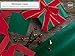 Royal Imports Wired Traditional Red Velvet Christmas Waterproof Ribbon with Gold Edge 2 1/2