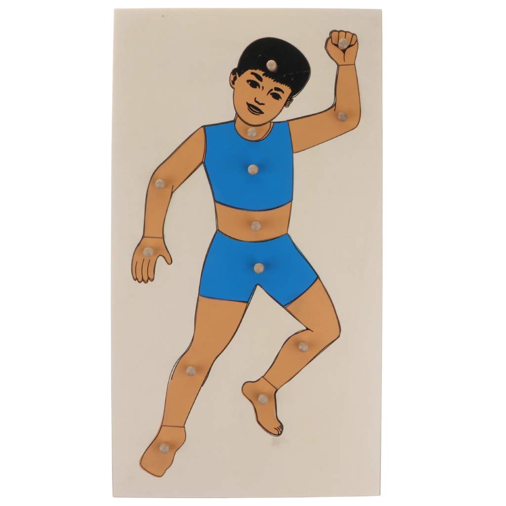 cuerpo humano rompecabezas para niños