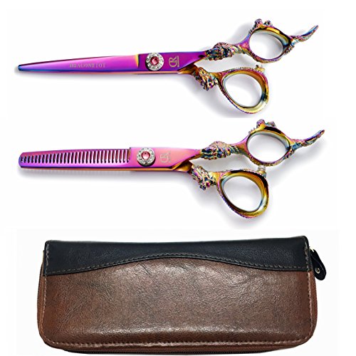 Top 10 Best Salon Scissors Set Professional Best of 2018 Reviews No