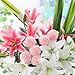 LNHOMY 6 Pack Artificial Lily Flowers Full Bloom Fake Latex Real Touch Artificial Flower Bouquets with 3 Heads Wedding Party Decor Home Decor, (White)