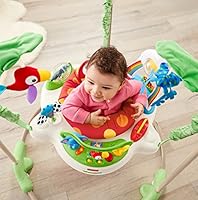 jumperoo maximum weight