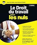 Le droit du travail Pour les Nuls, 4e (French Edition) by 