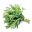 Organic Tarragon, 0.25 oz Clamshell