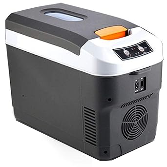 Mini Nevera,12L Refrigerador y Más Cálido Portátil Frigorífico ...