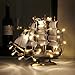 InnooLight Battery Operated Christmas String Lights 30 LEDS Warm White for Decorative Christmas trees, Mantels, Bedroom