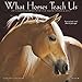 2017 What Horses Teach Us Mini Wall Calendar