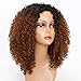 MISSQUEEN 2 Tone Ombre Wig Black to Brown Synthetic Kinky Curly Wigs for Black Women Heat Resistant Fiber.