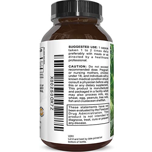 Potent Alpha Lipoic Acid Weight Loss Pills Powerful Antioxidant Amino Acids Lose Belly Fat Natural Supplement for Building Muscle Boosts Creatine Uptake in Muscles 60 Capsules by Nature Berg