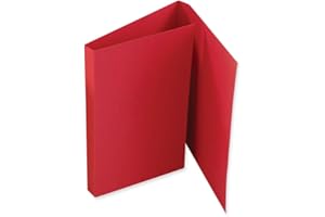 PDC Healthcare F3BR Double Fold File Folder for Prescriptions Cardboard, 5-1/2" x 13" Size, Red, Pack of 100