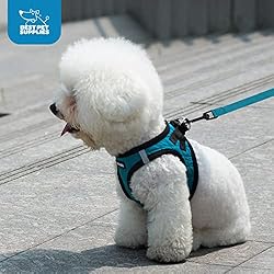 Voyager Step-in Plush Dog Harness – Soft