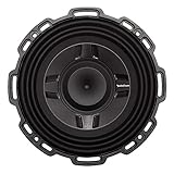 Rockford Fosgate P3SD2-8