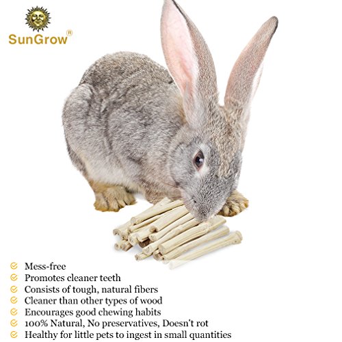 SunGrow Sweet Bamboo Chew Sticks for Rabbits, 100g (3.5 oz) Bunny Molar
