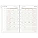 AT-A-GLANCE 481-225-18 Day Runner Two Page Per Day Refill, January 2018 - December 2018, Loose Leaf, Size 4, 5-1/2