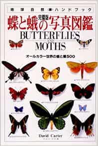 蝶と蛾の写真図鑑 オールカラー世界の蝶と蛾500 完璧版 地球自然ハンドブック Amazon Com Books