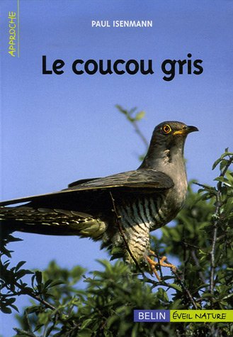 Le  coucou gris
