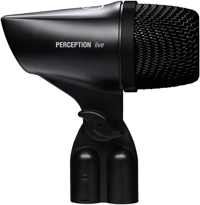 AKG Pro Audio P2 High-Performance Dynamic Bass Microphone: Musical Instruments