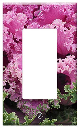 Switch Plate Single Rocker/GFCI - Ornamental Cabbage Leaves Kraus FraktalAhnlich