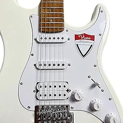 Vicers 6 string guitar, barbecue maple fingerboard
