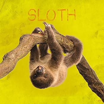 Tree-Free Greetings Premium Refrigerator Magnet, 3.5 x 3.5 Inches, Sloth Themed Wildlife Art (62790)