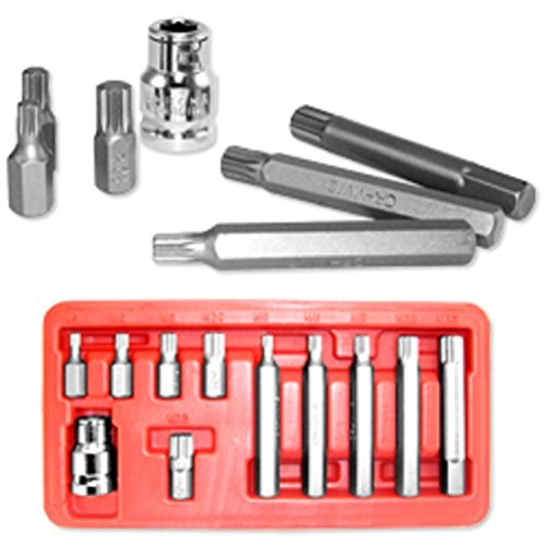 11pc CrV 10mm Hex Shank 12point XZN Spline Socket Bit Set W/ Case