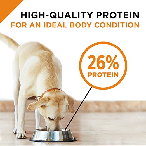 Purina Pro Plan With Probiotics Large Breed Dry Dog Food, SAVOR Shredded Blend Large Breed