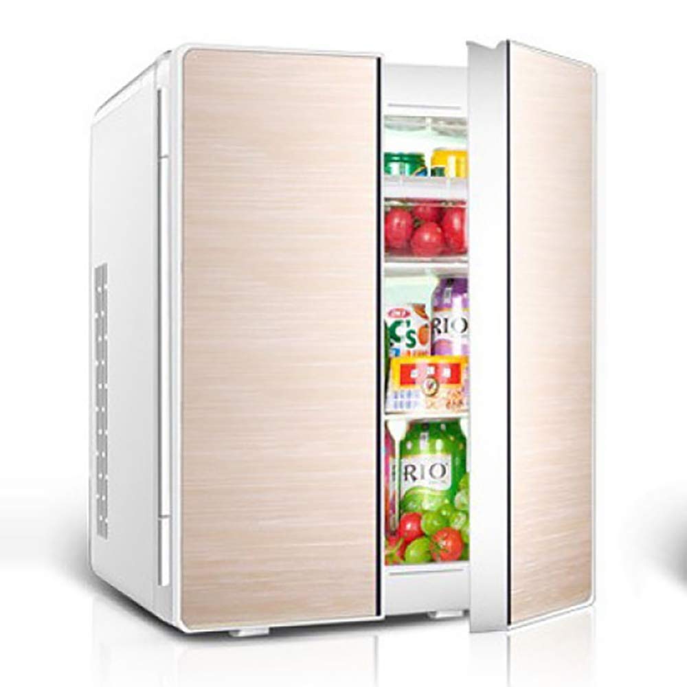 Kievy Doble Voltaje Refrigerador del Coche Portátil Refrigerador ...