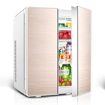 Kievy Doble Voltaje Refrigerador del Coche Portátil Refrigerador ...