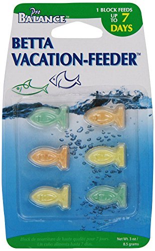 Amazon Com Penn Plax Pbv1 7 Day Vacation Fish Feeder By Penn