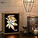 Levoit Salt Lamp, Himalayan/Hymilain Sea Salt Lamps, Pink Crystal Large Salt Rock Lamp, Night Light, Real Rubber Wood Base, Dimmable Touch Switch, Luxury Gift Box